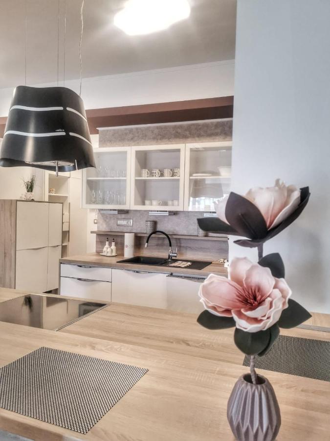 Studio Apartment "Brigita",Parking With Gate Rijeka Eksteriør bilde